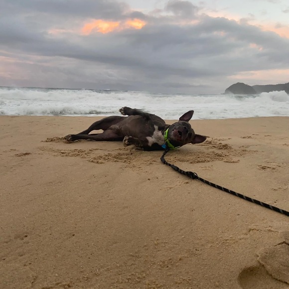 Meet The Posher :) - Picture 7 of 10